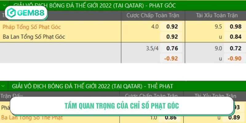 Tầm quan trọng của chỉ số phạt góc
