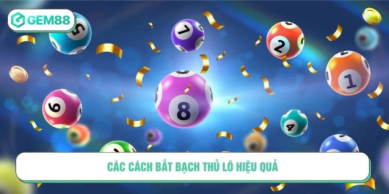 Tham khảo các cách bắt bạch thủ lô là gì