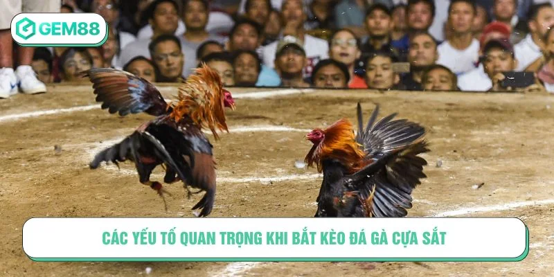 Tìm hiểu yếu tố ảnh hưởng đến trận đấu