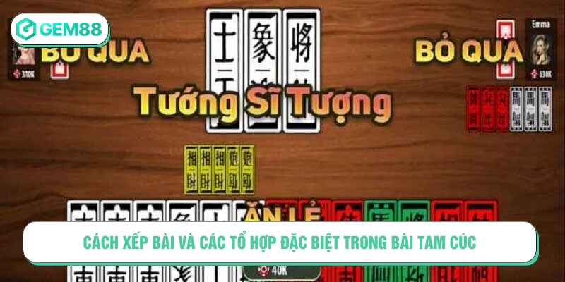 Cách xếp bài và các tổ hợp đặc biệt trong bài Tam Cúc