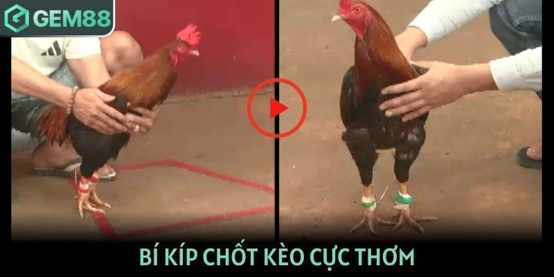 Bí kíp chốt kèo cực thơm