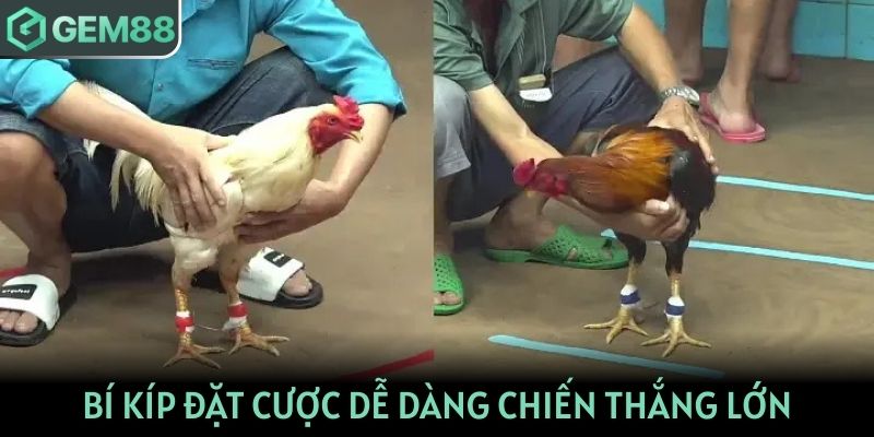 Bí kíp đặt cược dễ dàng chiến thắng lớn