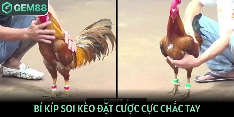 Bí kíp soi kèo đặt cược cực chắc tay