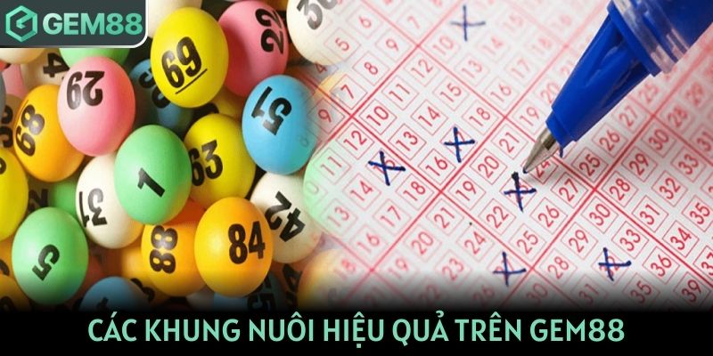 Các khung nuôi hiệu quả trên GEM88