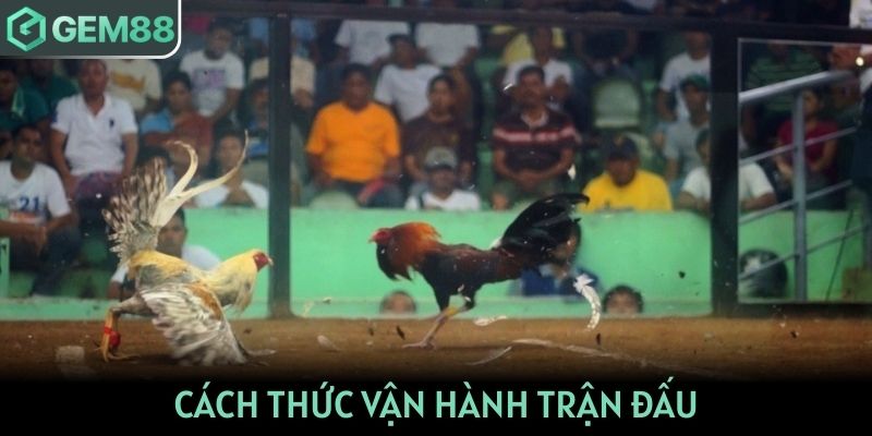 Cách thức vận hành trận đấu