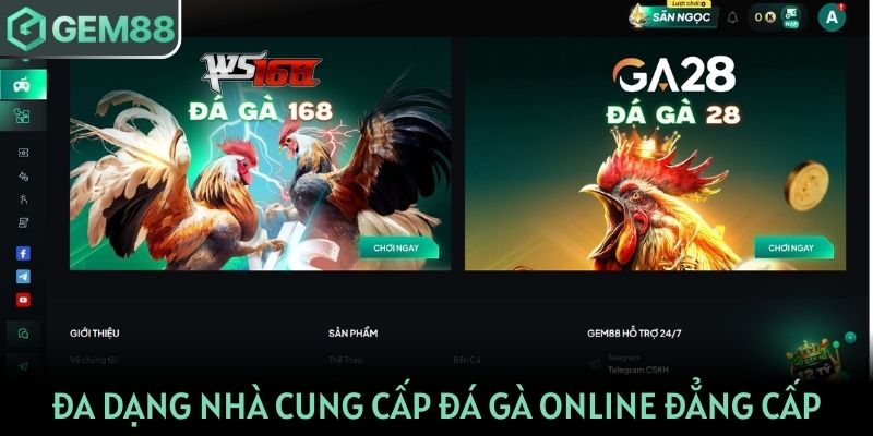 Đa dạng nhà cung cấp đá gà online đẳng cấp