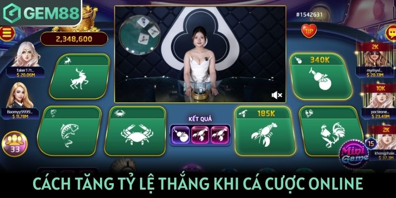 Khám phá cách tăng tỷ lệ thắng khi cá cược online