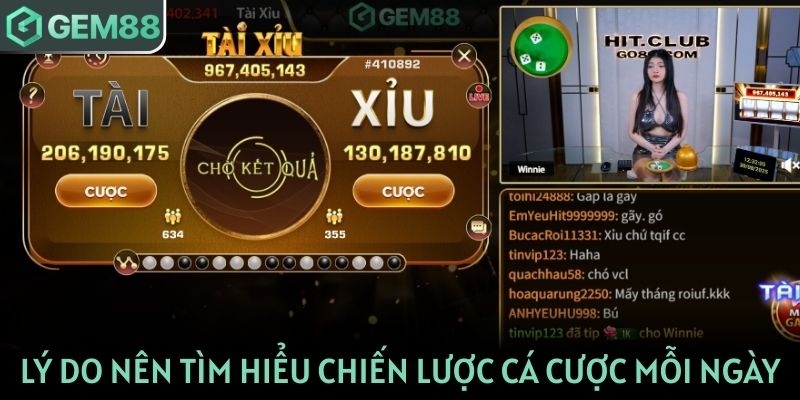 Lý do nên tìm hiểu chiến lược cá cược mỗi ngày