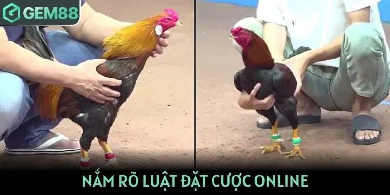 Nắm rõ luật đặt cược online