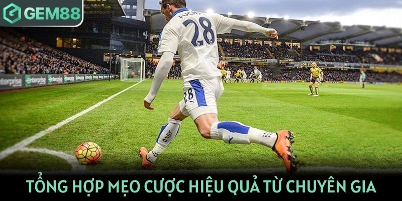 Tổng hợp mẹo cược hiệu quả từ chuyên gia