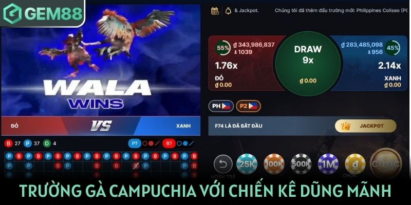 Trải nghiệm trường gà Campuchia với chiến kê dũng mãnh